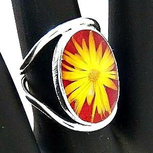 Wildflower Silver Terrarium Rings Inlay Size Large
